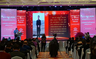 資產(chǎn)置換 撬動民營經(jīng)濟發(fā)展的新支點與商務信息咨詢的價值